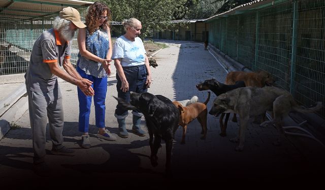 Başkan Ünsal’dan can dostlara ziyaret... 'Yaşam hakkı kutsaldır'