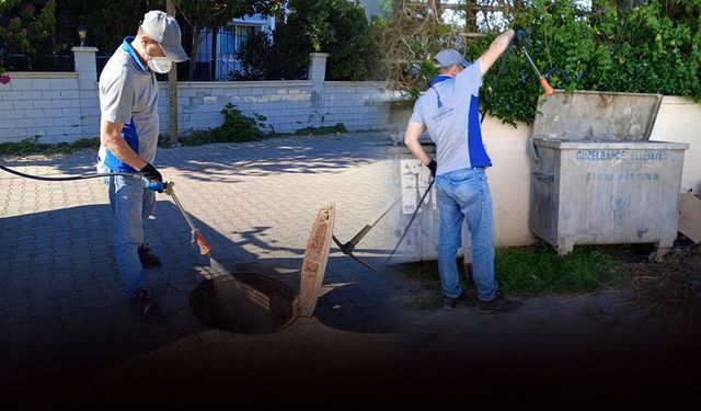 Güzelbahçe’de kapsamlı ilaçlama çalışması