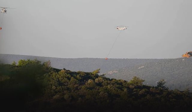 İzmir'in 2 ilçesinde göğü kara dumanlar kapladı! Havadan ve karadan müdahale ediliyor