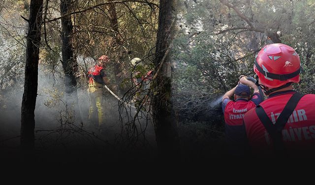 İzmir İtfaiyesi teyakkuzda... 4 ilçede yangınlara müdahale ediyor