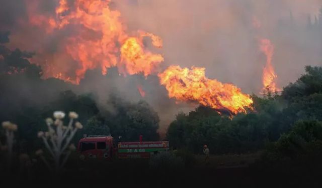 Orman Mühendisi Irmak son yangınları değerlendirdi:  Orman köylüsü döngüsü yeniden yaratılmalı