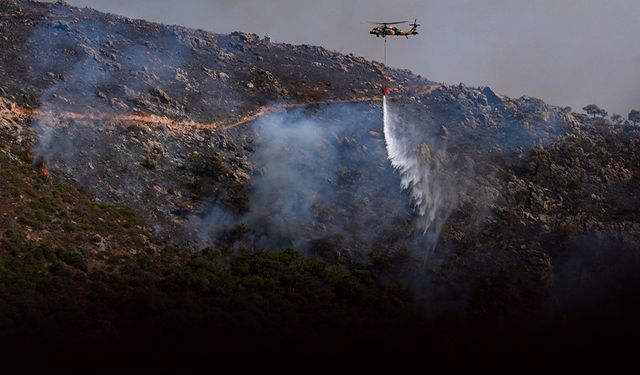 Sözün bittiği yer: İzmir'in dağları artık çiçek açmayacak!