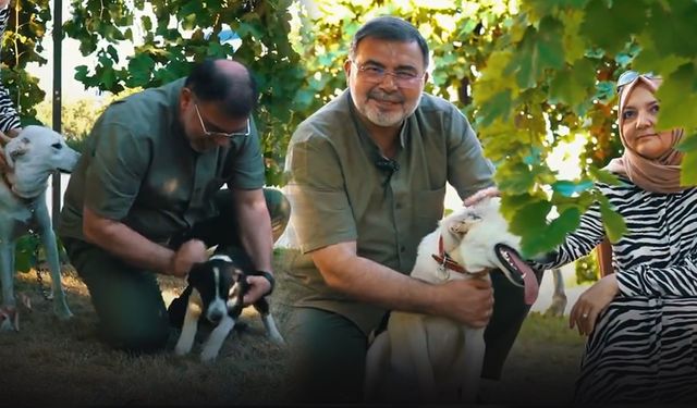 AK Partili Saygılı iki köpek sahiplendi çağrıda bulundu... Hayatımıza renk kattı!