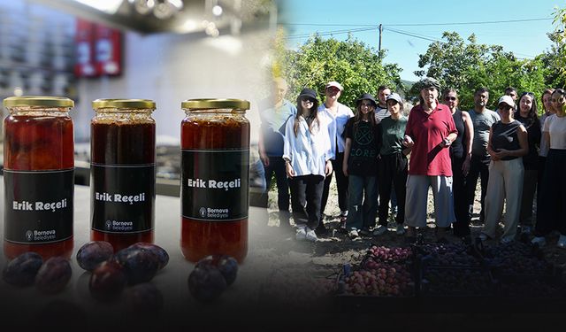 Bornova'da bir taşla iki kuş... Hem erikler toplandı hem de ihtiyaç sahiplerine ulaştırıldı