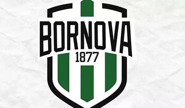 Bornova 1877'de saha sorunu