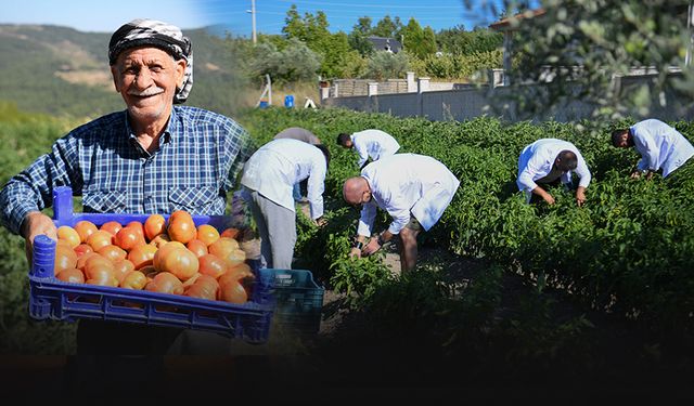 Bornova Belediyesi'nden yerel üreticilere tam destek