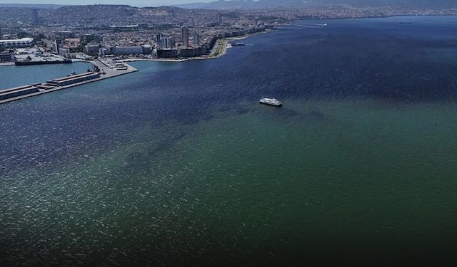 Tugay Körfez'deki Alglere dikkat çekti, uzmanı uyardı! Sadece balıklar değil insanları da etkileyebilir