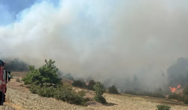 Kahramanmaraş'ta orman yangını: Ekipler müdahale ediyor