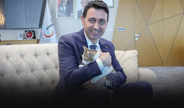 Bayraklı'da patili dostlar için sahiplendirme kampanyası... Önal: “Biz yaşatmayı seçiyoruz”