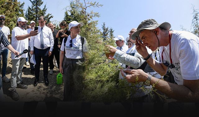 İzmir'in yanan dağlarında 'yeşil hareket'... Zarar gören alanlar geri kazandırılacak