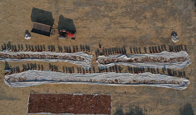 Türk kuru üzümünün rekabet gücünü artırmak için yeni pazar önerisi