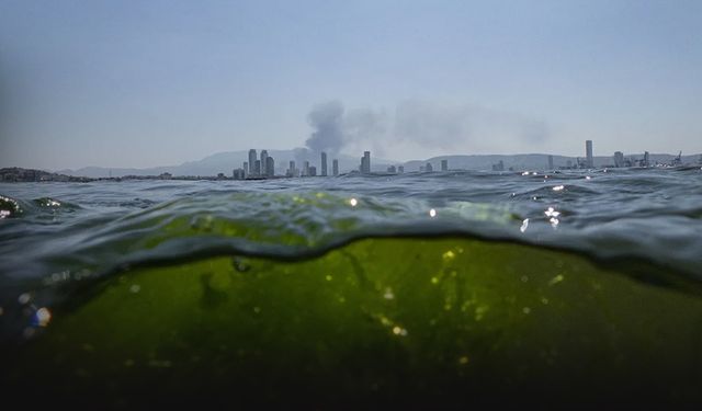 Bilimden dikkat çeken İzmir Körfezi açıklaması... Kalıcı çözüm için...