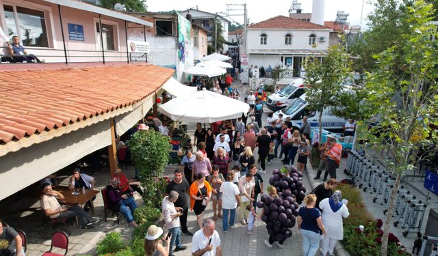 12. Kavacık Üzüm Festivali renkli görüntülerle başladı