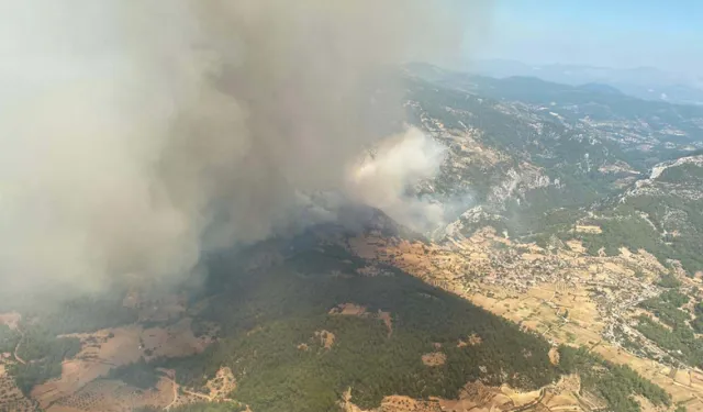 Muğla orman yangını; Arı kovanları yandı