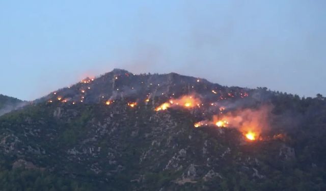 Bergama'da çıkan orman yangını kontrol altına alındı