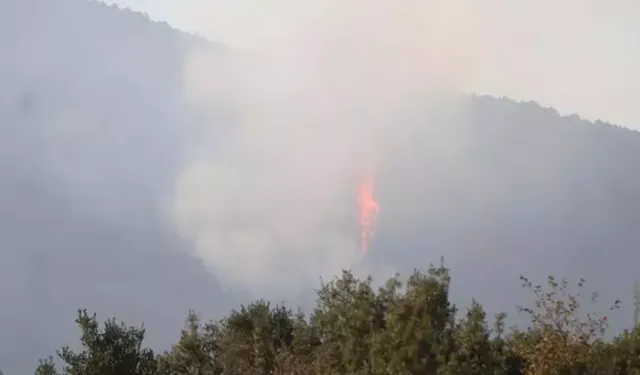 Denizli'de orman yangını 5'inci gününde