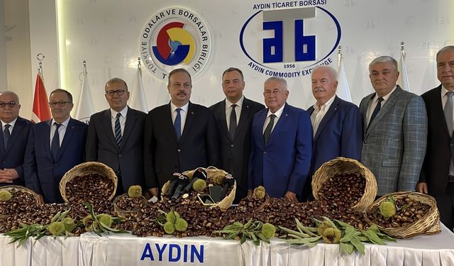 Aydın'da sezonun ilk kestaneleri kilogramı 500 liradan satıldı