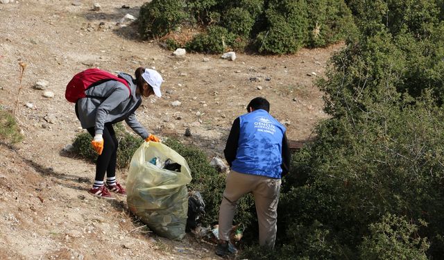 Çine'de gençlik merkezi gönüllüleri orman temizledi