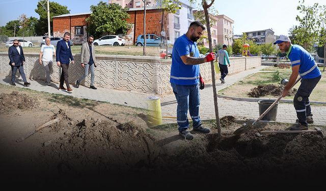 Buca’da yeşillendirme harekatı başladı!