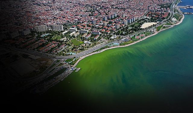 İzmir körfezi Kıyı Ege Belediyeler Birliği gündeminde... Devlet gücünü hissetmek gerekiyor