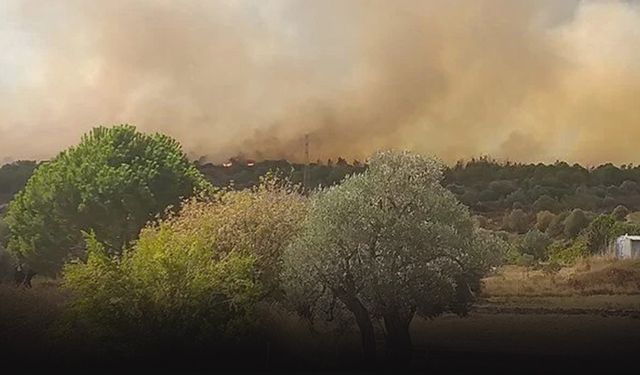 Foça'da korkutan yangın!