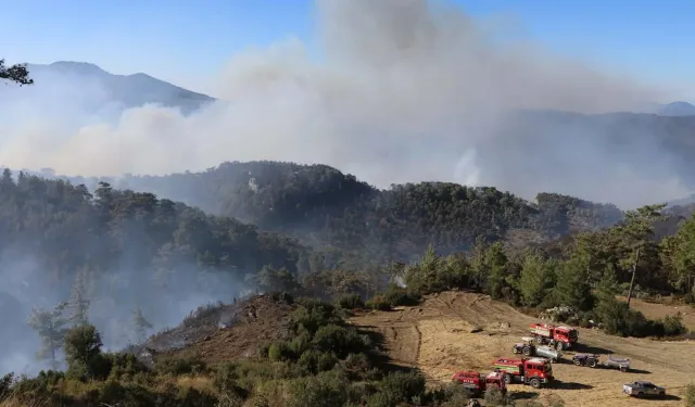 Muğla'daki orman yangını 3'üncü günde