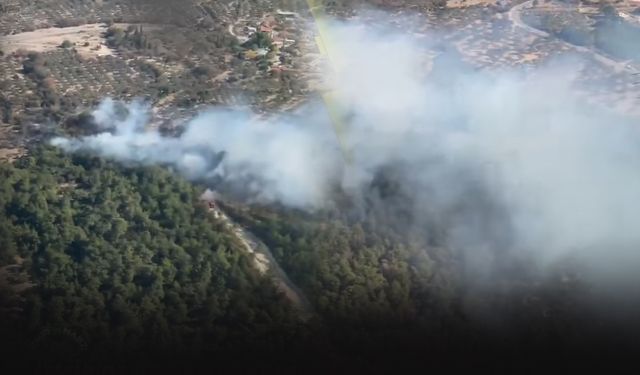 İzmir'de yangın paniği! Havadan ve karadan yoğun mücadele