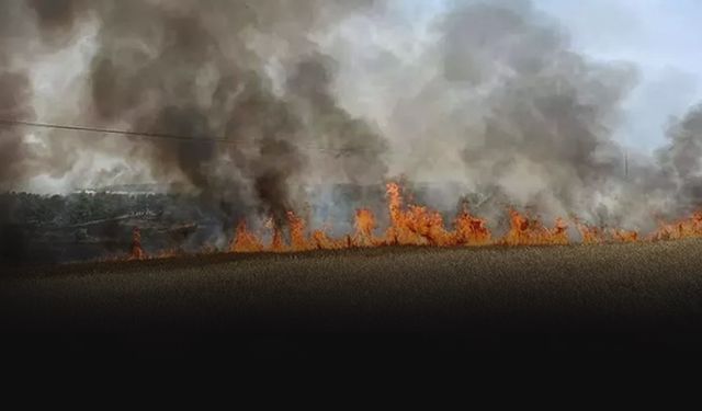 Uzmanından erozyon uyarısı! Anız yangınları tehlike saçıyor