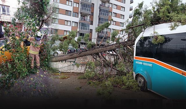 Büyükşehir ekiplerinden sahada sağanak mesaisi!