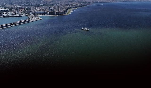 Uzmanından İzmir Körfezi için sevindiren haber... Balık ölümleri azaldı!