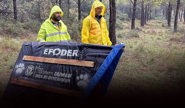 Buca’da atık malzemeler sokak hayvanları için yuvaya dönüşüyor