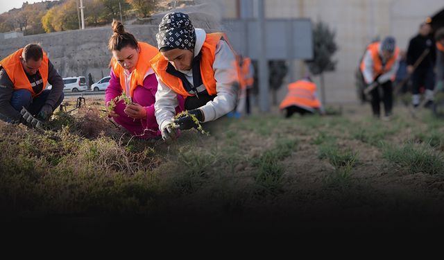 İzmir'de kuraklığa karşı yeşil dönüşüm hareketi! Sudan yüzde 60 işçilikten yüzde 50 tasarruf