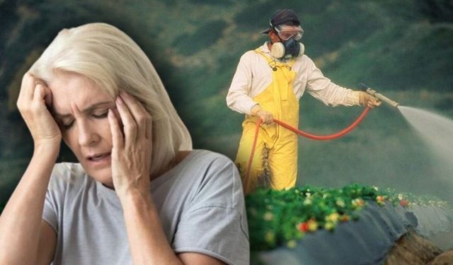 'Pestisit' erken menopoz riskini artırıyor!