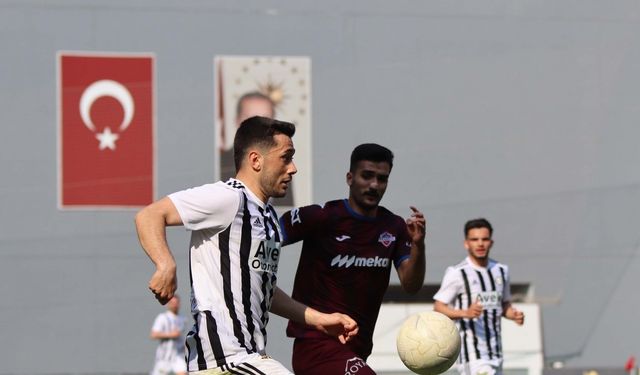 Altay'da Ali'ye başkan desteği