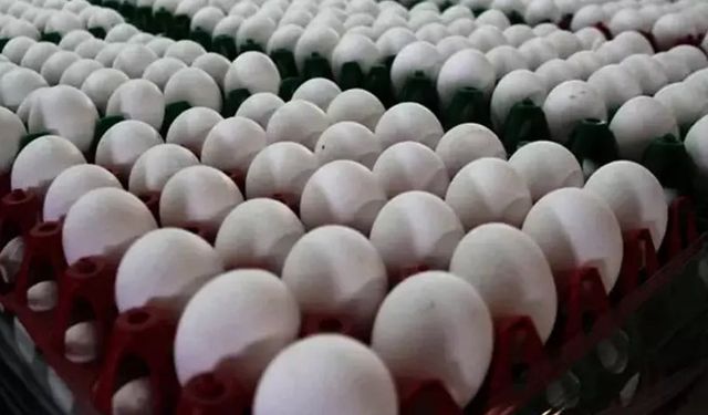 Yumurta fiyatlarındaki artışın sebebi belli oldu!