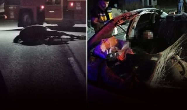 Denizli'de otomobil ata çarptı... 1 ölü, 1 yaralı!