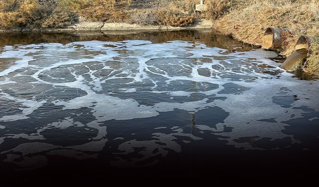 Bilimden Gediz Nehri uyarısı... Önlem alınmazsa tarımsal üretim biter!