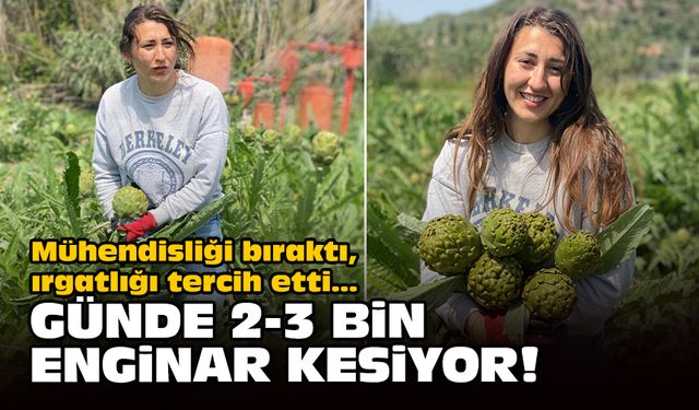 Mühendisliği bıraktı, ırgatlığı tercih etti... Günde 2-3 bin enginar kesiyor!