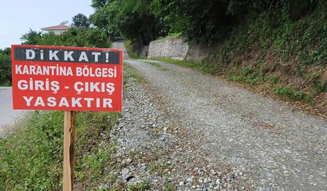 O ilde 'şap' alarmı!