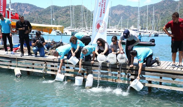Denizden 20 ton atık toplandı, binlerce yavru balık bırakıldı