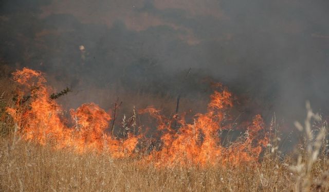 Bodrum’da ot yangını 2 saatte söndürüldü