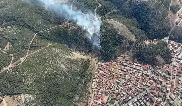 Manisa'daki yangınlarda 2 hektar orman zarar gördü