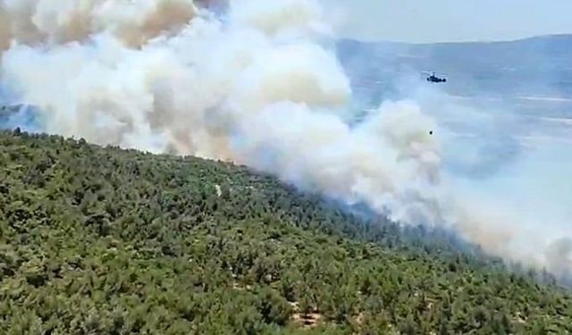 Manisa'daki orman yangını 2'nci gününde