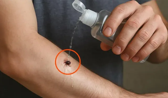 Uzmanından kene uyarısı... Sakın bunları yapmayın!
