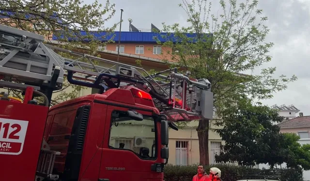 Alaşehir'de bir evde çıkıp dama sıçrayan yangında 2 keçi telef oldu