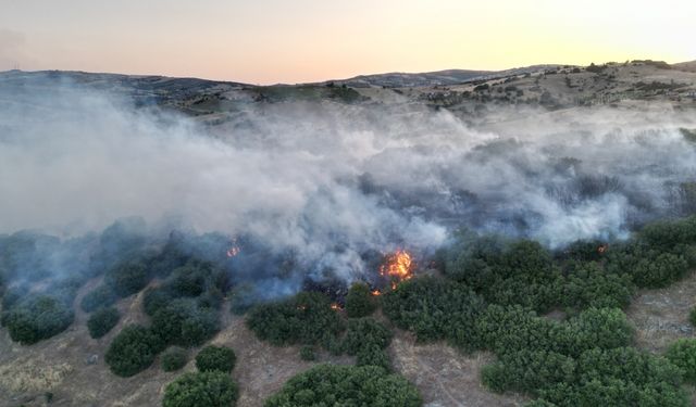 Manisa'da makilik alanda çıkan yangın söndürüldü