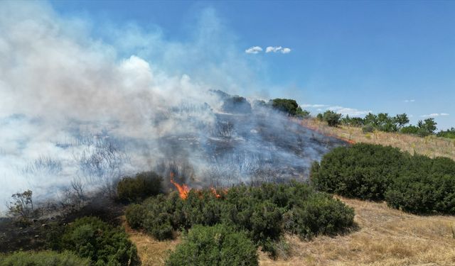 Manisa'da makilik alandaki yangın kontrol altına alındı