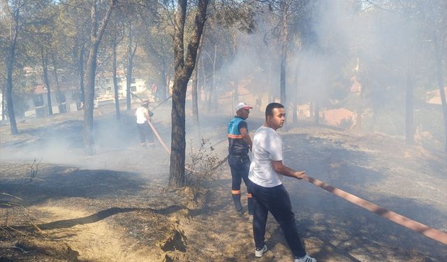 Manisa'da otluk alanda çıkan yangın söndürüldü