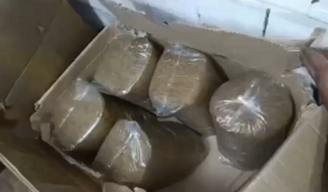 Aydın'da kaçak sigara operasyonu