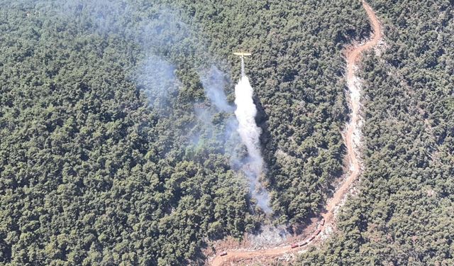 Manisa'daki orman yangını 4 saatte söndürüldü